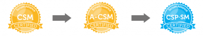 CSM Certification Path